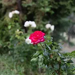 Cretan Exclusive Ретимно (Крит)
