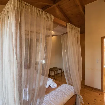 ヴィラ Cretan Exclusive レティムノ