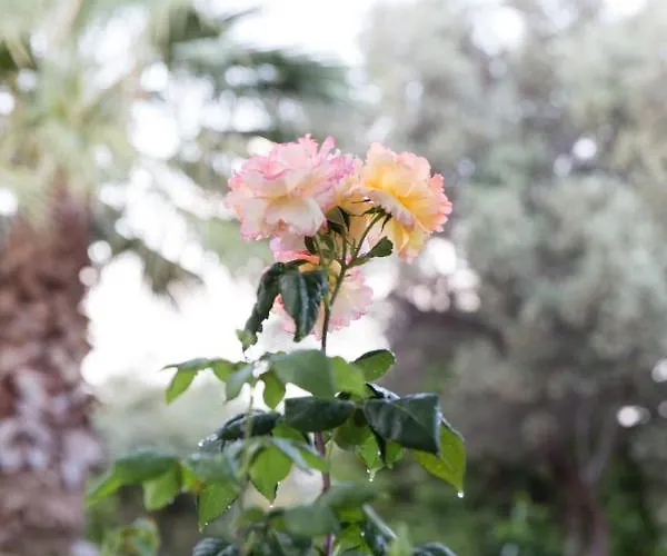 Villa Cretan Exclusive Réthymnon