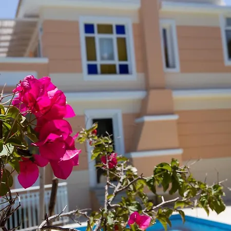 Villa Cretan Exclusive